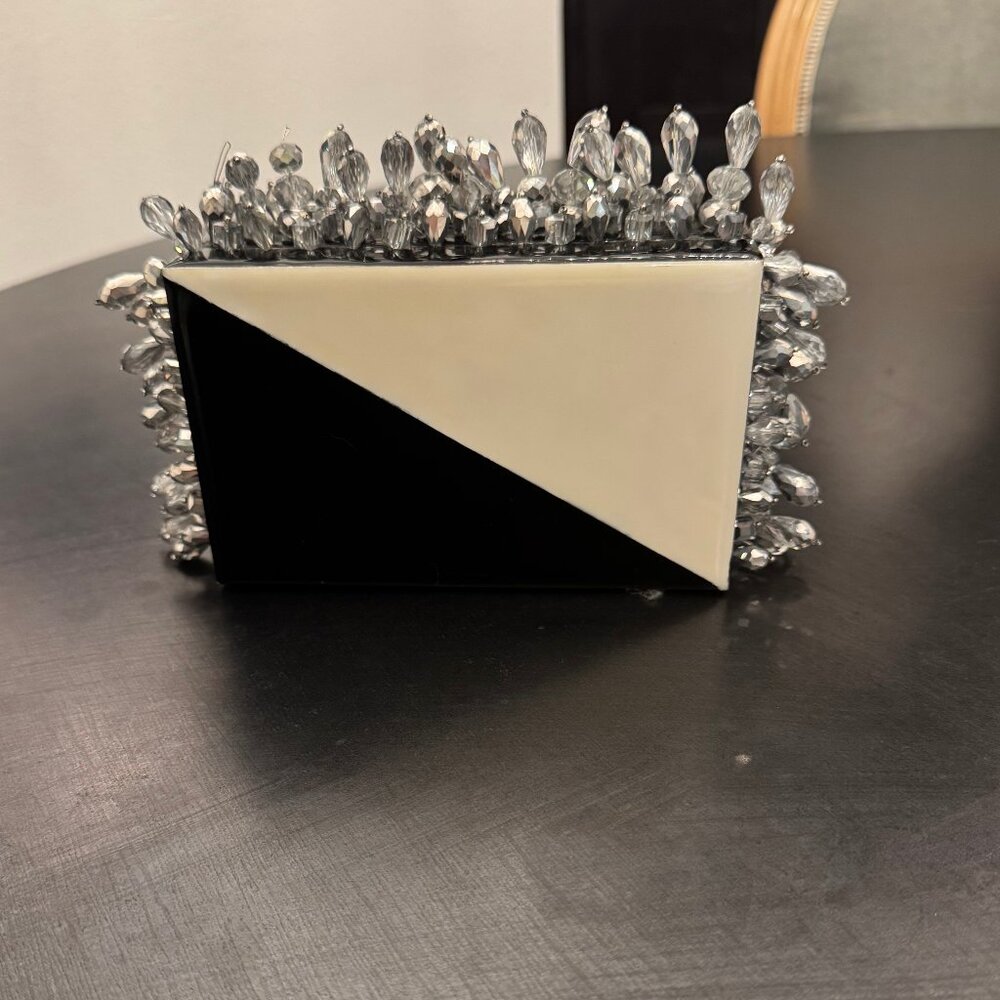 NWOT Flaneur (Buenos Aires, Argentina) clutch